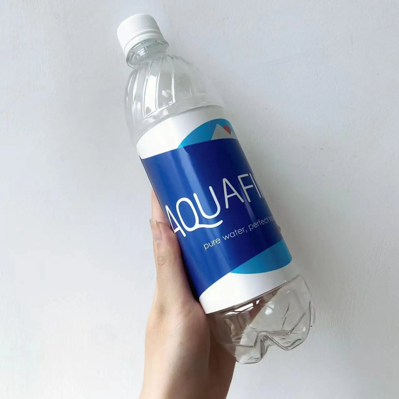 Aquafina Water Bottle Diversion Safe Can Stash Hidden Security Container with a Food Grade Smell Proof Bag